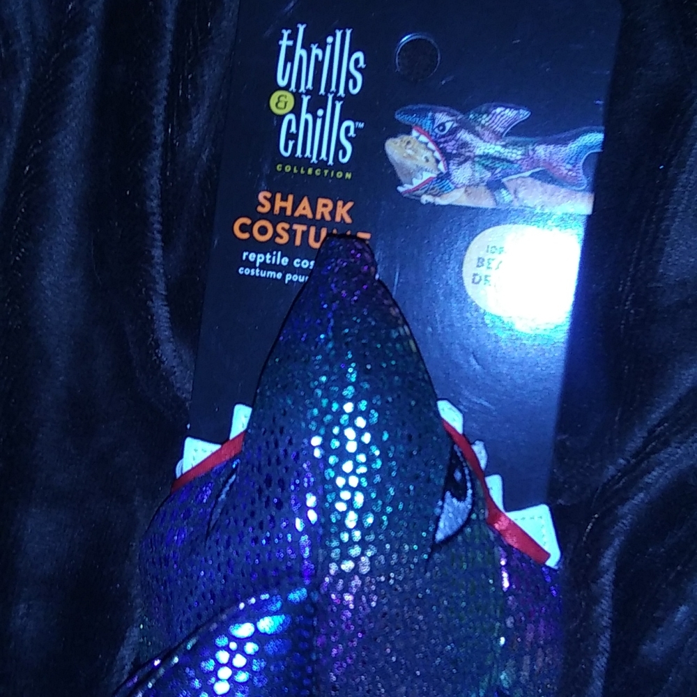 Shark costume